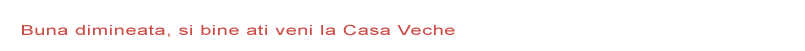 Pensiunea Casa Veche Ramnicu Sarat